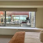 Serendipity Vista