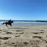 Barkly Beach House Warrnambool