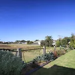 The Wetlands