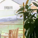 3 Bedroom, Pet Friendly Home Cbd