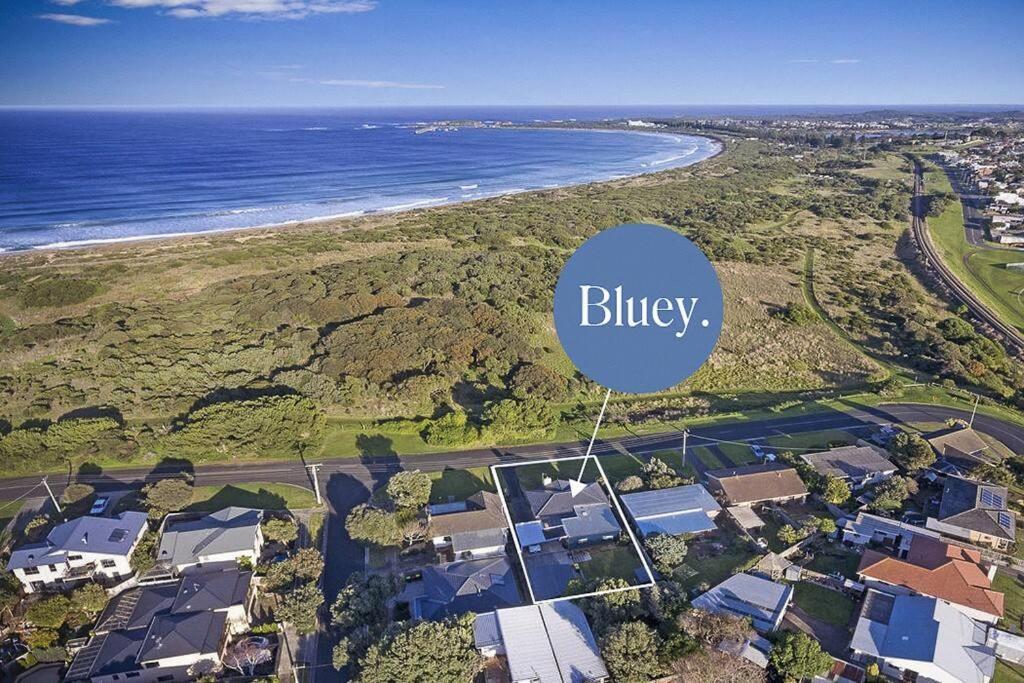 Bluey Warrnambool