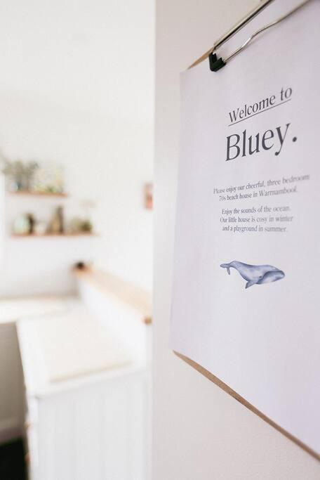 Bluey Warrnambool