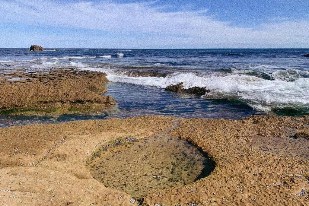 Bluey Holiday home Warrnambool
