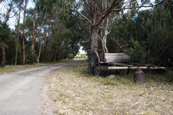 Wypinga B&B - Pet Friendly 4* Warrnambool