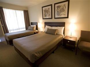 Elm Tree 4*
