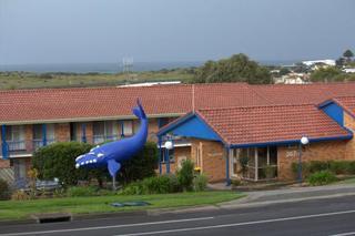 Blue Whale Motor &