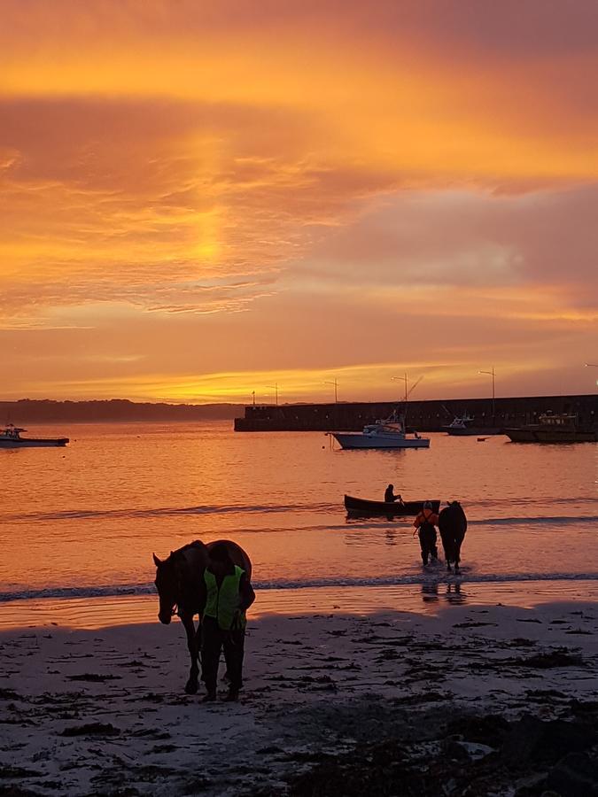 Wayamba Warrnambool