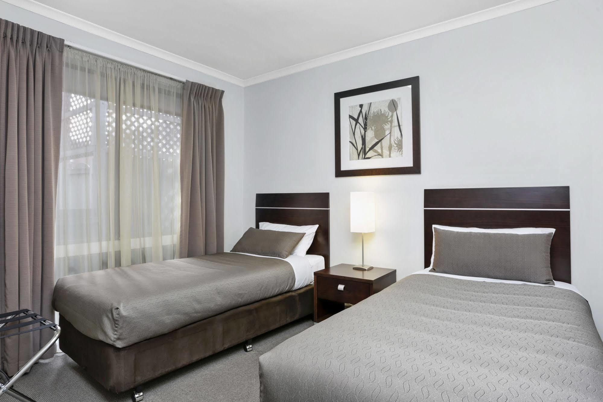 Elm Tree 4*
