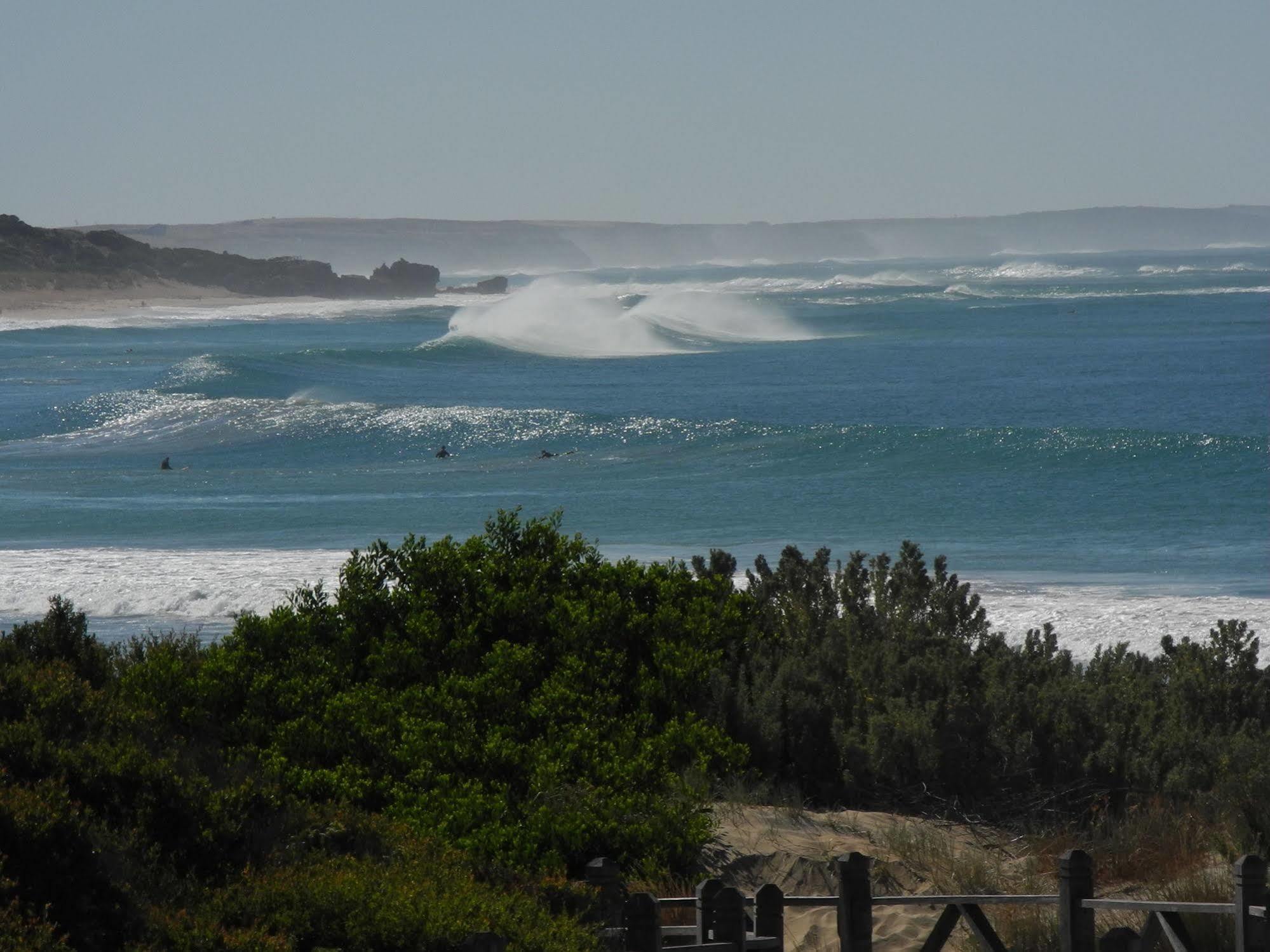 Elm Tree 4* Warrnambool