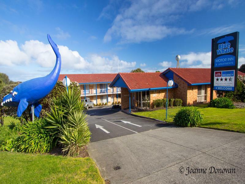 Aparthotel Blue Whale Motor & 3*