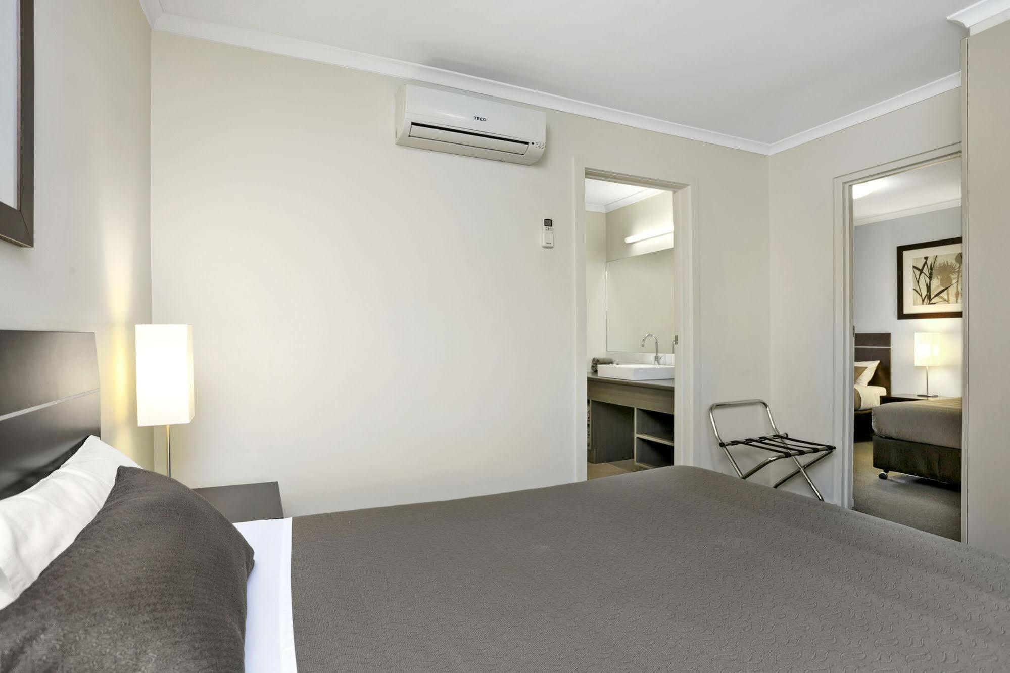 Elm Tree 4*