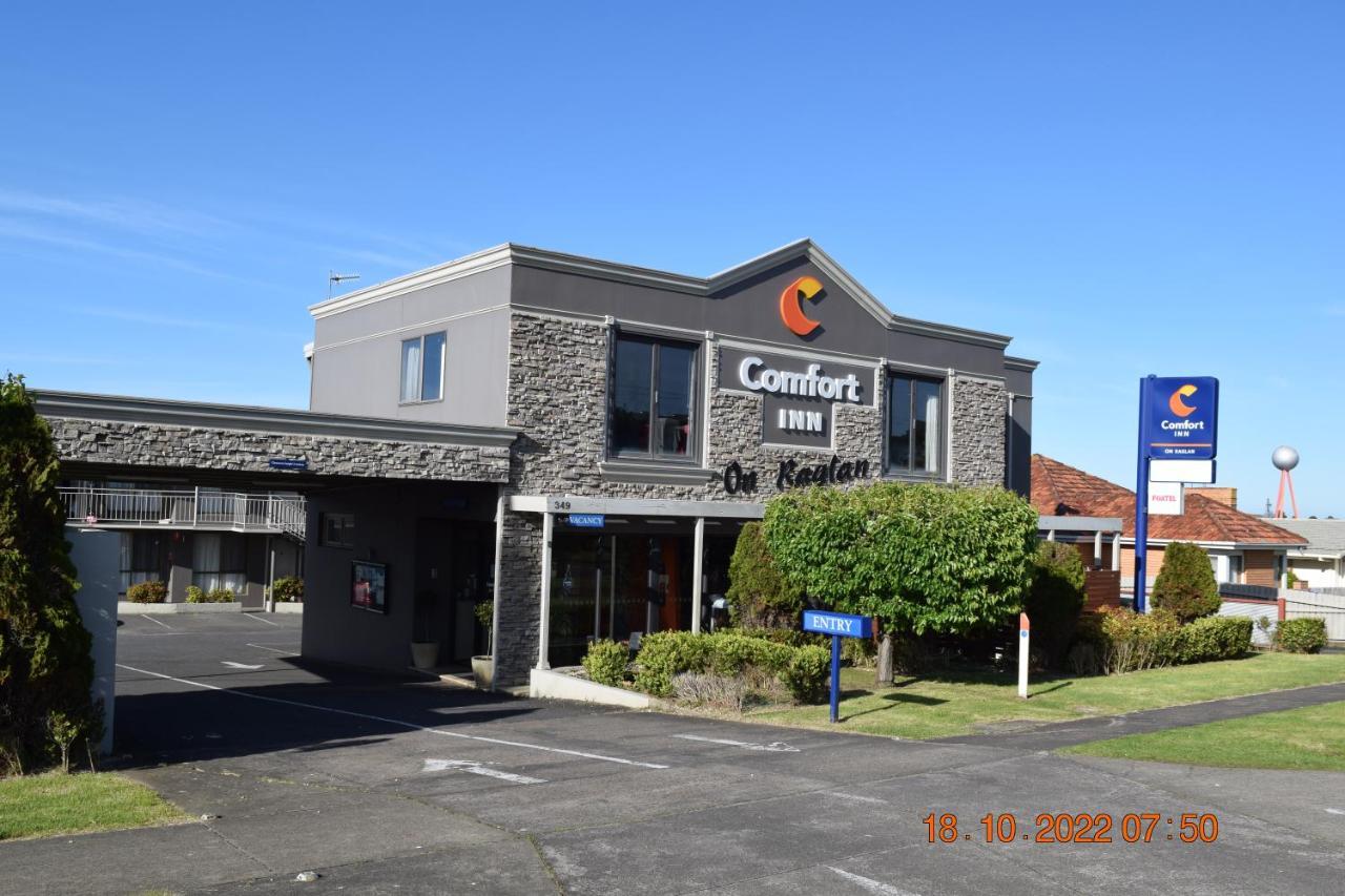 Comfort On Raglan Inn