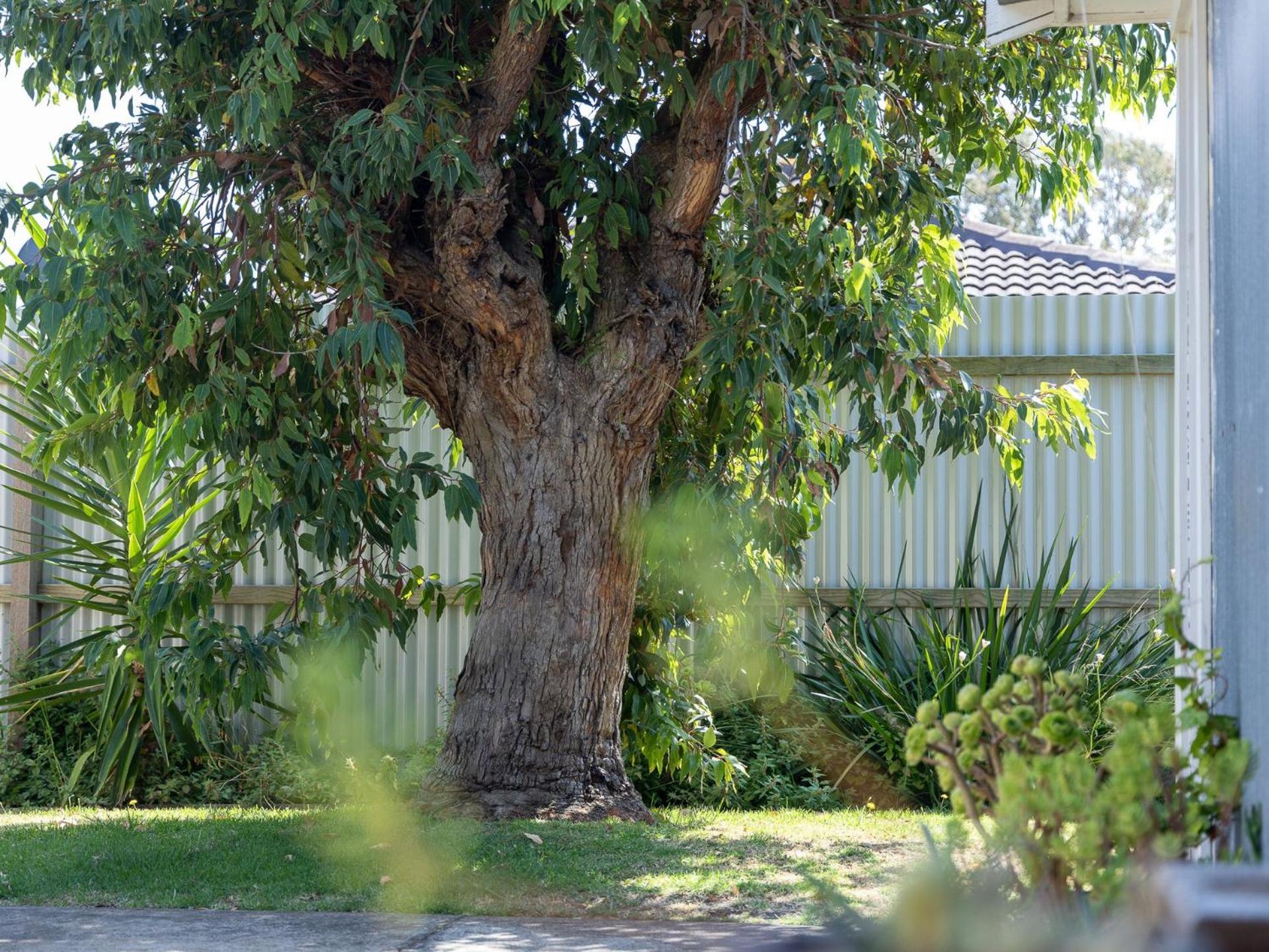 Holiday home Goose Gully *